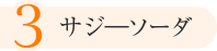 3.サジ―ソーダ