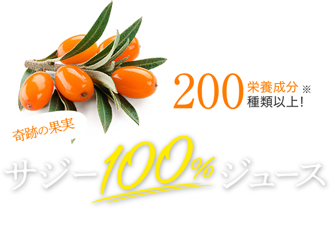 季節の果実 サジー100%ジュース 栄養成分200種類以上!