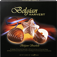 Belgian Chocolate Seashells